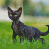 Skinny Black Cat Diamond Painting