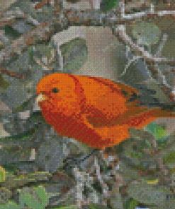 Orange Bird Diamond Painting