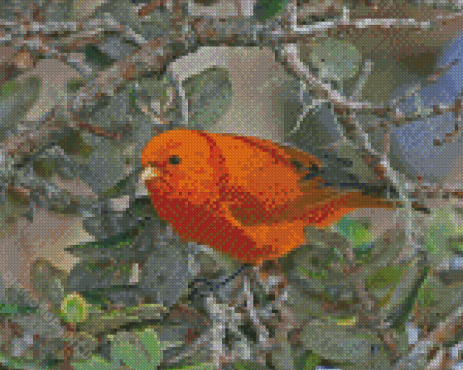 Orange Bird Diamond Painting