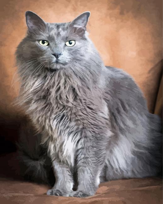 The Grey Ragdoll Cat Diamond Painting