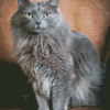 The Grey Ragdoll Cat Diamond Painting