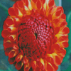 The Red Orange Dahlia Flower Diamond Painting