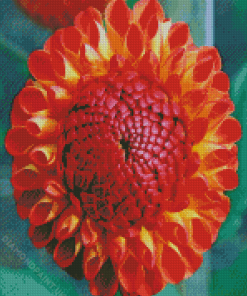 The Red Orange Dahlia Flower Diamond Painting