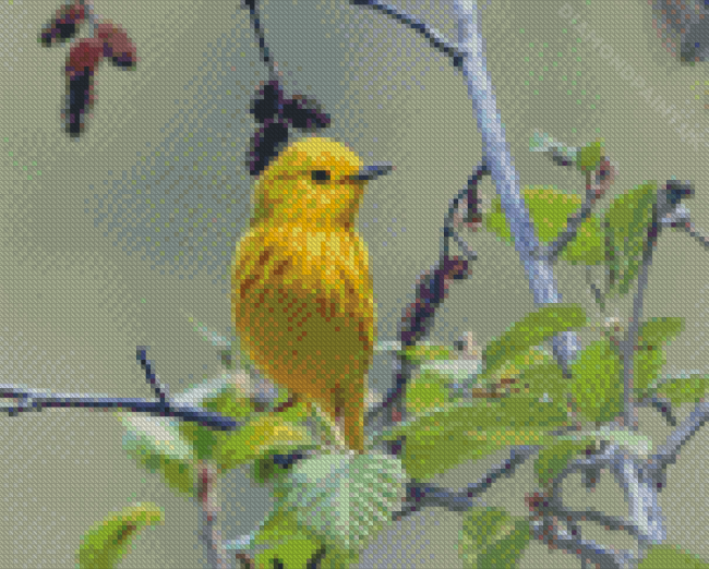 The Yellow Warbler Bird Diamond Painting