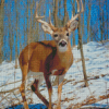 Whitetail Deer Diamond Painting