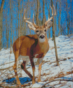 Whitetail Deer Diamond Painting