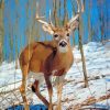 Whitetail Deer Diamond Painting