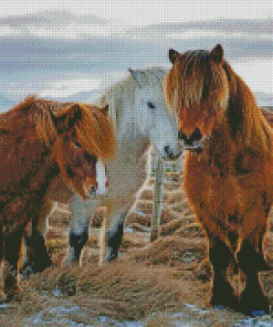 Wild Icelandic Ponies Diamond Painting