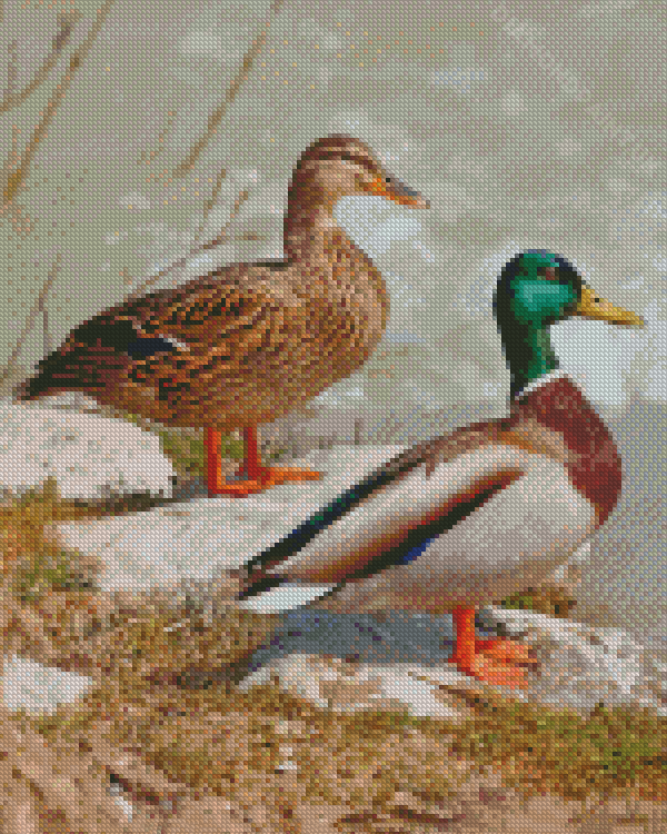 Wild Ducks Diamond Painting