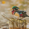 Wood Duck On Tree Diamond Painting