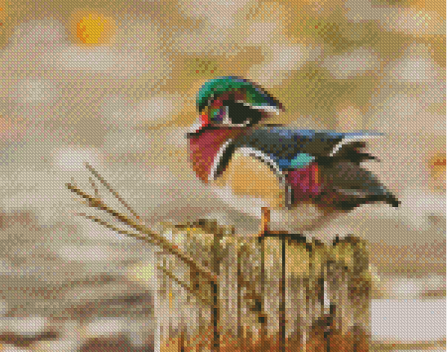 Wood Duck On Tree Diamond Painting