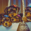 Yorkshire Terrier Puppies In Basket Diamond Painting