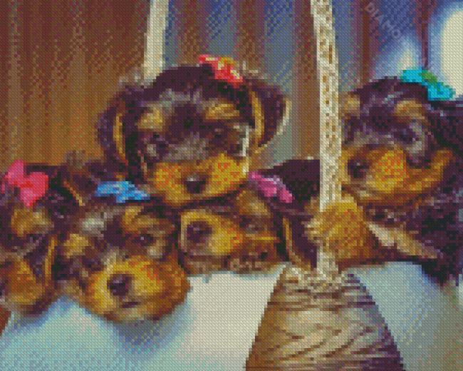 Yorkshire Terrier Puppies In Basket Diamond Painting