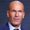 Zinedine Zidane Diamond Painting