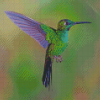 Aesthetic Green Hummingbird Diamond Painting