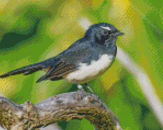 Aesthetic Willy Wagtail Diamond Painting