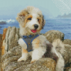 Aesthetic Aussiedoodle Diamond Painting