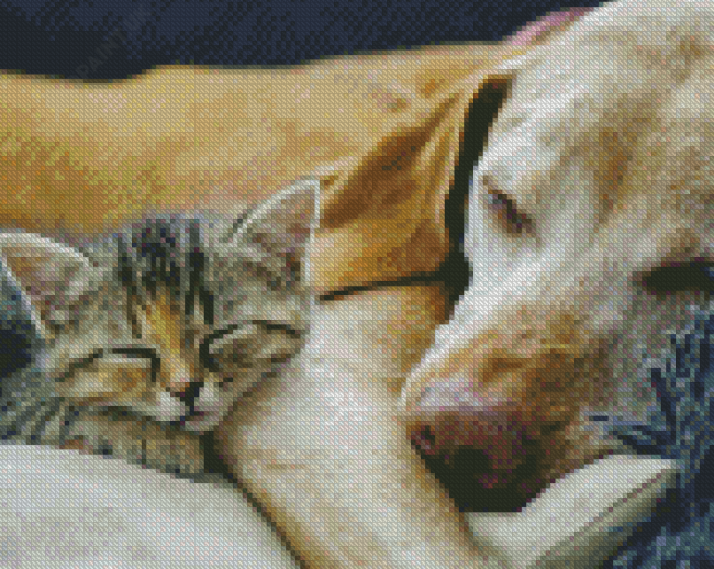 Close Up Sleeping Dog And Cat Diamond Painting