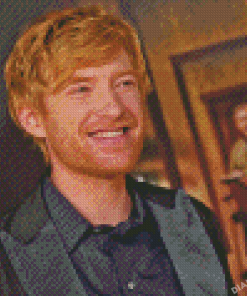 Cool Domhnall Gleeson Diamond Painting