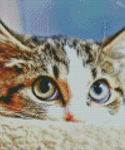 Cute Sneaky Kitten Diamond Painting