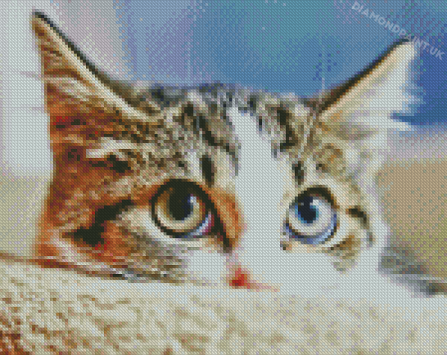 Cute Sneaky Kitten Diamond Painting