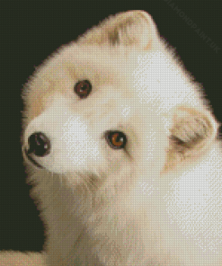 Cute Polar Fox Diamond Painting