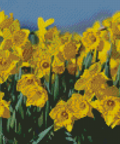 Field Of Daffodils Diamond Painting