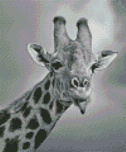 Giraffe Sticking Out Tongue Black And White Wildlife Diamond Painting