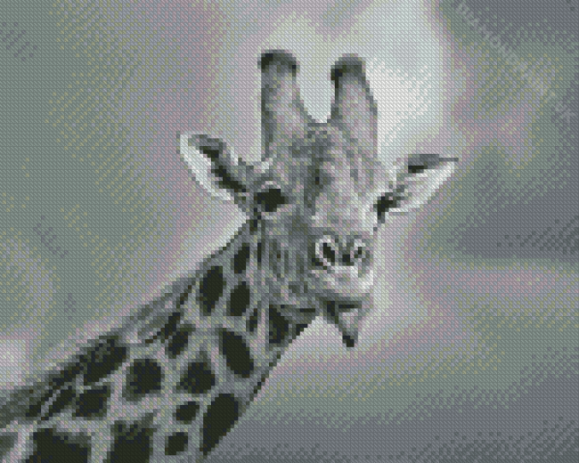 Giraffe Sticking Out Tongue Black And White Wildlife Diamond Painting