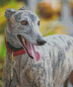 Greyhound Dog Diamond Painting