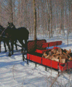Horse With Sleigh In Snow Diamond Painting