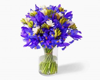 Irises Bouquet In Vase Diamond Painting