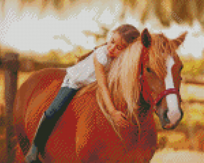 Little Girl On Horse Diamond Painting