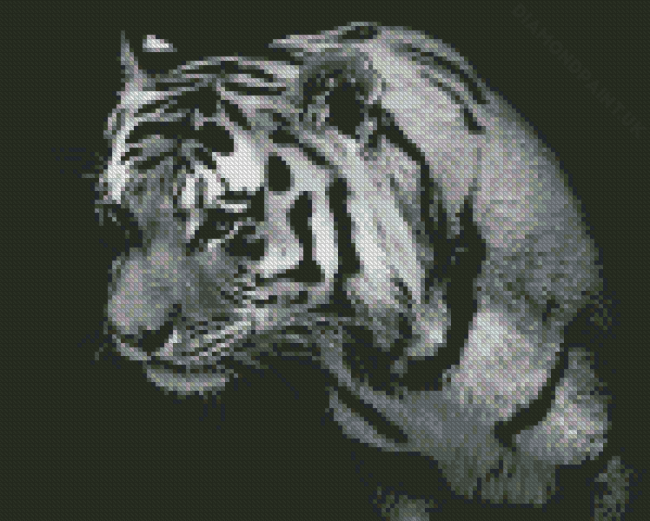 Lonely Black And White Tiger Diamond Painting