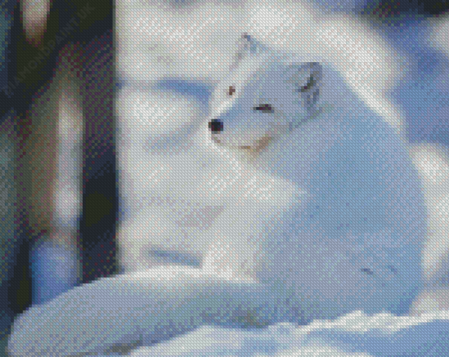 Polar Fox Animal Diamond Painting