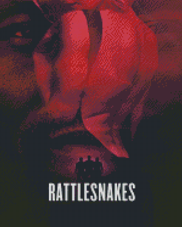 Rattlesnake Poster Diamond Painting