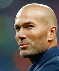 The Legend Zinedine Zidane Diamond Painting