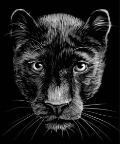 White And Black Panther Diamond Painting