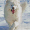 White Fluffy Dog In Snow Diamond Painting