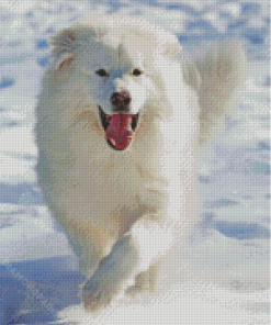 White Fluffy Dog In Snow Diamond Painting