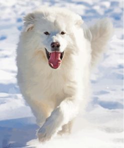 White Fluffy Dog In Snow Diamond Painting