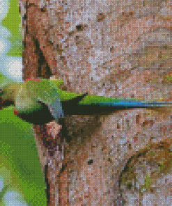 Alexandrine Parakeet On A Tree Diamond Painting