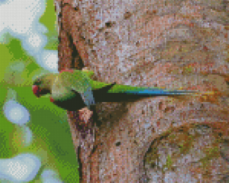 Alexandrine Parakeet On A Tree Diamond Painting