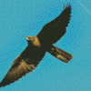 Black Falcon Flying Diamond Painting