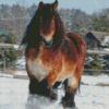 Draft Horse In Snow Diamond Painting