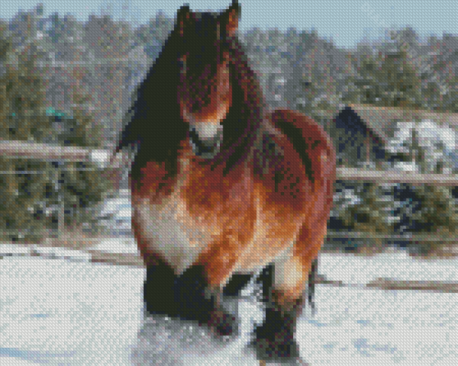 Draft Horse In Snow Diamond Painting