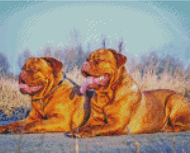 French Mastiff Dogs Diamond Painting