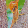 Frilled Lizard On Tree Diamond Painting