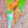 Frilled Lizard On Tree Diamond Painting