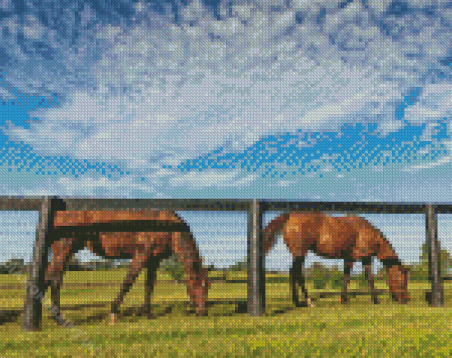 Horses Next To Fence Diamond Painting